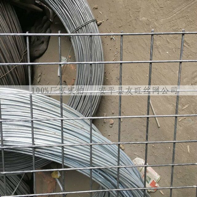 鋼筋網(wǎng)片采購 鋼筋網(wǎng)片生產(chǎn)產(chǎn)品圖片,鋼筋網(wǎng)片采購 鋼筋網(wǎng)片生產(chǎn)產(chǎn)品相冊(cè) - 安平縣友旺金屬絲網(wǎng)制品 - 九正