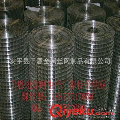 【誠信廠家供應】大絲電焊網 圈玉米的網 通風透氣-安平縣千恩金屬絲網制品提供【誠信廠家供應】大絲電焊網 圈玉米的網 通風透氣的相關介紹、產品、服務、圖片、價格安平縣千恩金屬絲網制品、護欄網;鋼格板;鋼板網;石籠網;荷蘭網;美格網;沖孔網;隔離柵;塑料網;不銹鋼網;防風抑塵網;聲屏障;刀片刺繩;過濾網;電焊網;土工格柵;金剛網;軋花網;勾花網;防護網