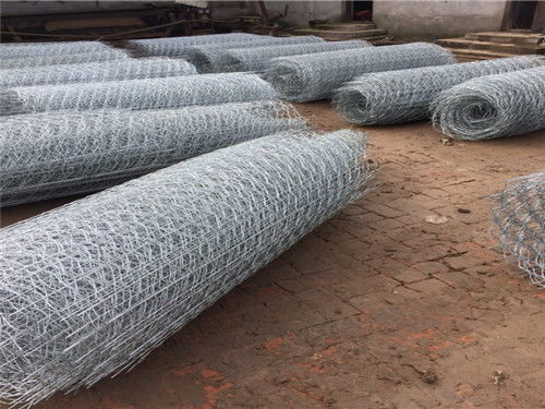 新聞中心 安平縣東潤金屬絲網(wǎng)制品