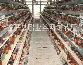 供應5層雞籠子 安平縣鵬業(yè)絲網(wǎng)制品廠 蛋雞籠,肉雞籠,鴿子籠,兔子籠,網(wǎng)格布 鋼板網(wǎng)